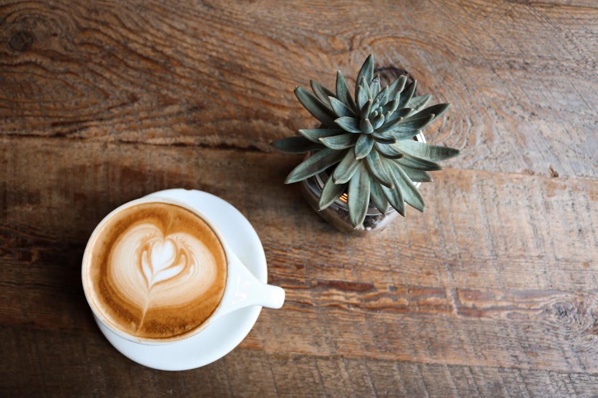 A coffee cup beside a small plant on a warm tabletop